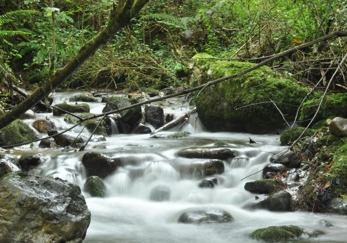 Rio en Asturias